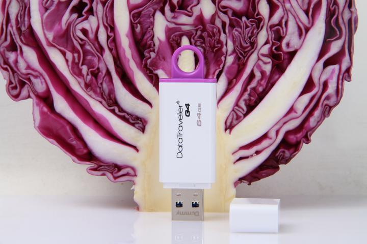 Actual product image Kingston DataTraveler G4 (64 GB)