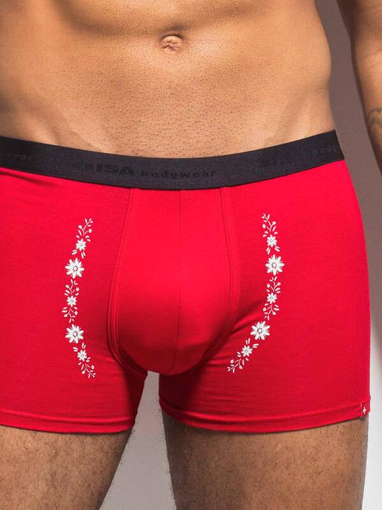 Immagine prodotto ISA Bodywear Panty Andy (XL, Confezione singola)