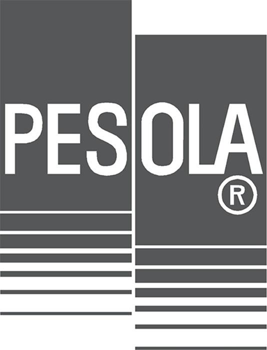 Image du produit Pesola Balance suspendue numérique Heavy Duty, 100 kg