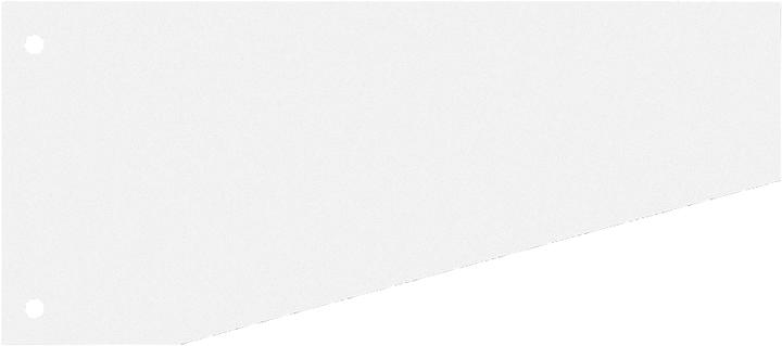 Schäfer Shop Strisce divisorie trapezoidali, cartone, liscio, 100 pezzi