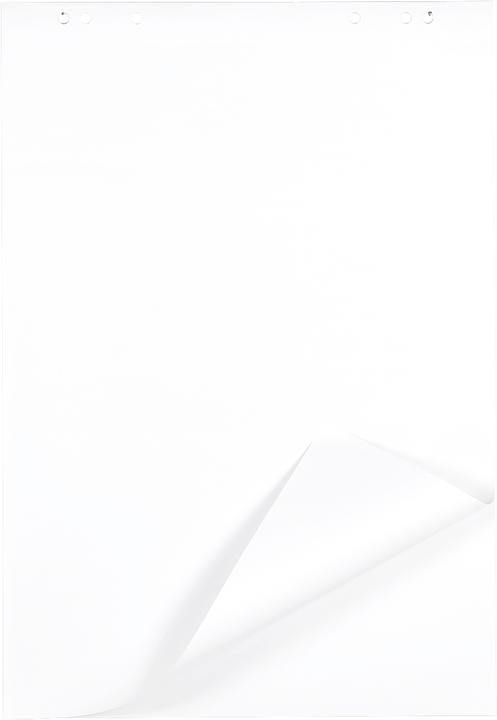 Produktbild Schäfer Shop Flipchart-Block, 80 g/m²