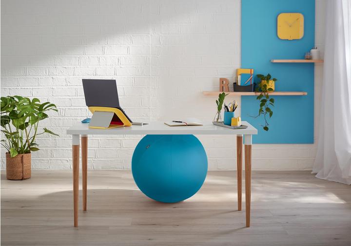 Image du produit Leitz Ballon-siège Ergo Cosy Active (65 cm)
