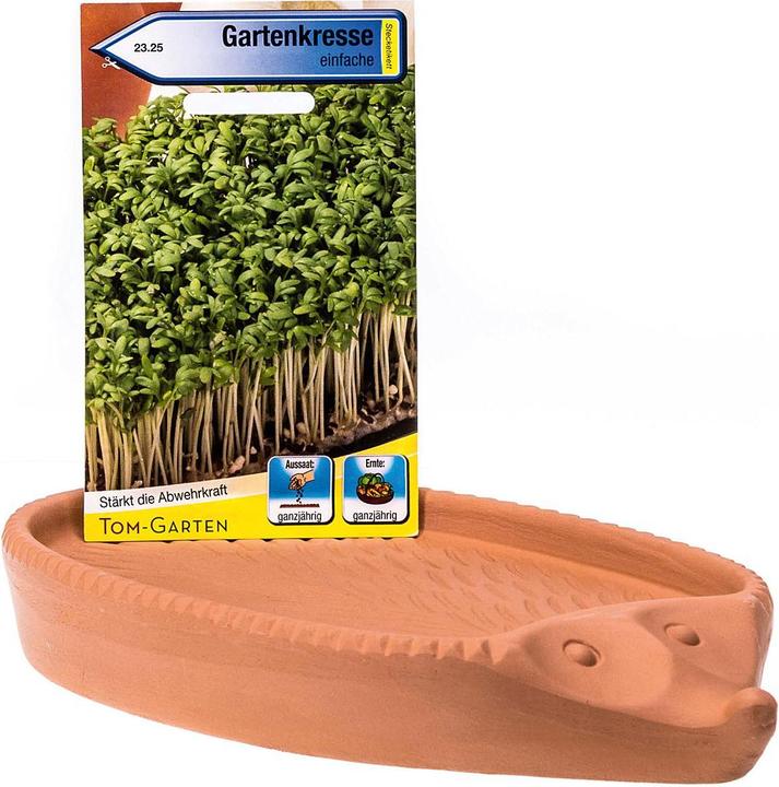 Römertopf Kresse-Igel