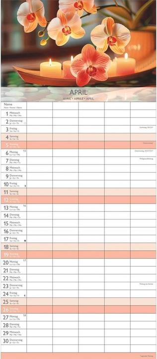Image du produit Alpha Edition Familienplaner Zen 2026 (19,5 x 45 cm, Couverture rigide, Allemand)
