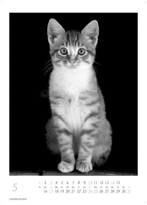 Produktbild Cats 2026 S 29x21cm (29 x 21 cm, Deutsch)
