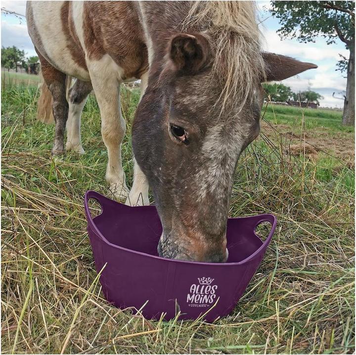 Immagine prodotto Soulhorse Secchio flessibile da 10 litri Tutti i miei