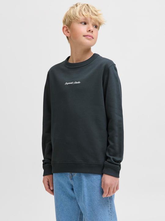 Actual product image Jack & Jones Jornorrebro Emb Sweat Crew Noos Jnr (128)