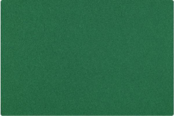 Actual product image Lion Cutting Mat CM-120 120x80cm green (80 x 120 cm)