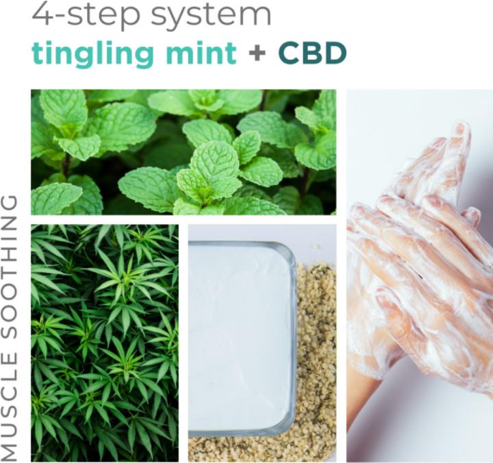 Image du produit Bcl Spa Tingling Mint 4 Step System (Bain de pieds, Masque de pied, 20 ml)