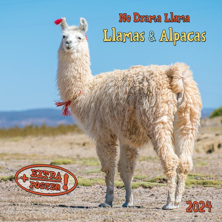 Actual product image No Drama Llama 2024 (Hardcover, Spanish, French, Czech, Italian, Dutch, Polish, German, English)