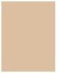 Actual product image The Balm Mary-Lou Manizer (Beige)