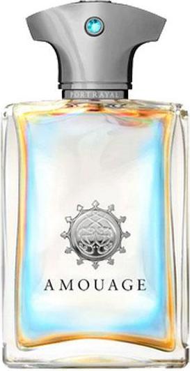 Produktbild Amouage Portrayal Man - EDP - Volume: 100 ml (Eau de Parfum, 100 ml)