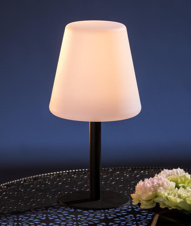 Actual product image GuGus Solar (50 lm)