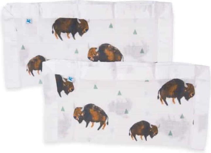 Bison