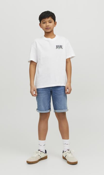 Image du produit Jack & Jones Short Regular Fit Short Regular Fit Mini Short Regular Fit (98)