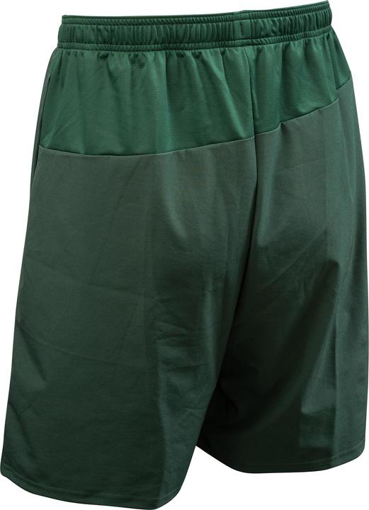 Actual product image Korok FHSH500 (L)