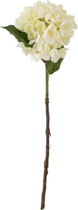 Produktbild Bloomingville Hydrangea (56 cm)
