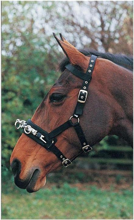 Immagine prodotto Hy Cavallo a cavezza Lunge