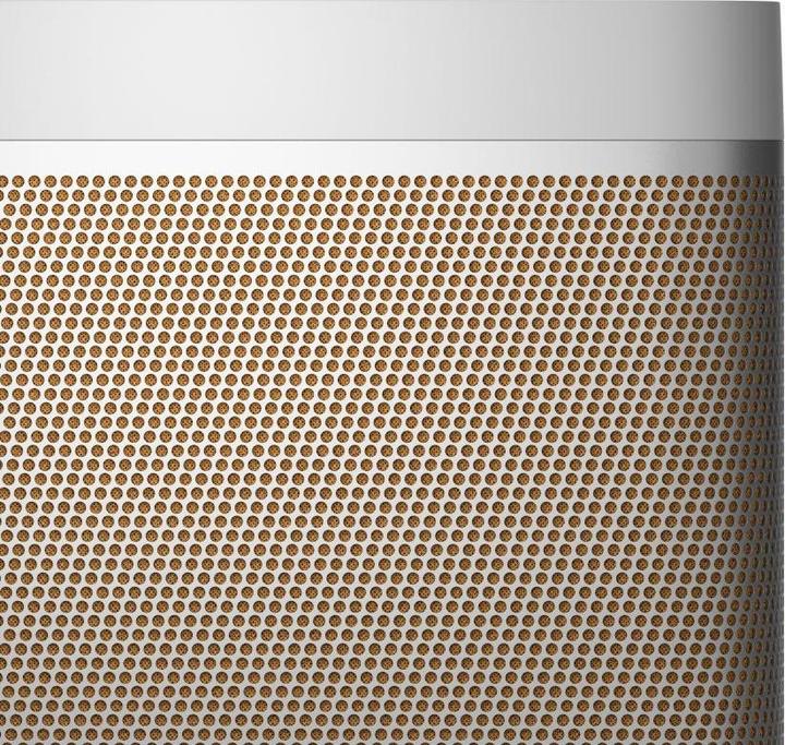 Immagine prodotto B&O Beolit 20 (8 h, Batteria ricaricabile)