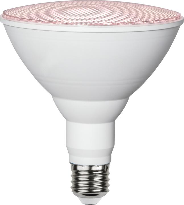 Image du produit Star Trading Lampe Plant Light (E27, 16 W, 1200 lm, 1 x)