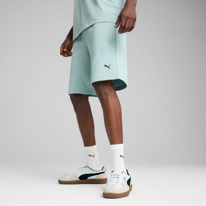 Actual product image Puma ESS 2 COLOR No. 1 Logo Shorts 10" TR (XL)