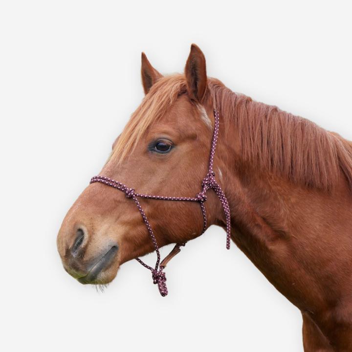 Produktbild Caperlan Knotenhalfter Natural Horsemanship Pferd/Pony bordeaux