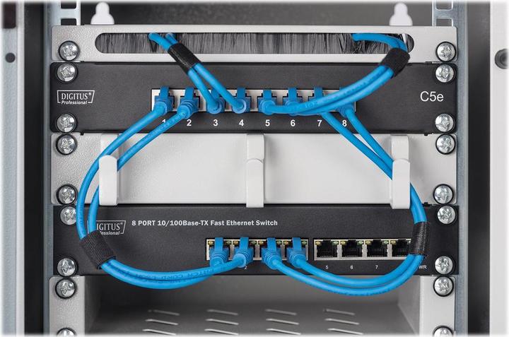 Immagine prodotto Digitus Custodia professionale a parete (9 HE, Portapacchi da 10 pollici)