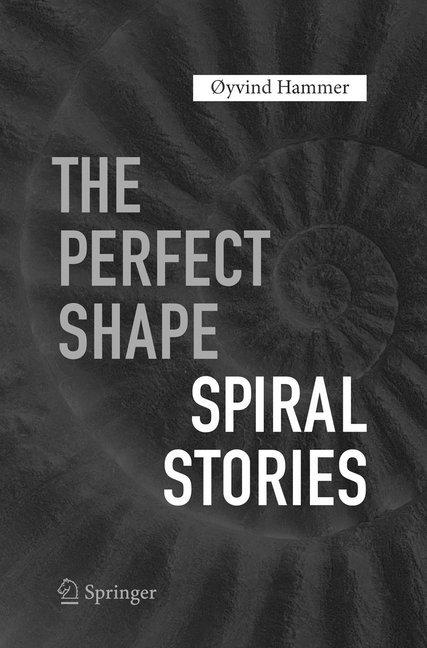 Actual product image The Perfect Shape (Øyvind Hammer, 2018)