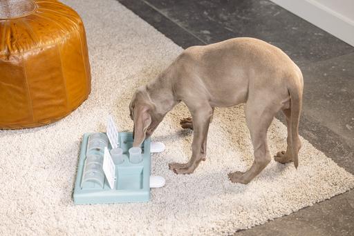 Immagine prodotto Beeztees Reef (Intelligenza cane toy)
