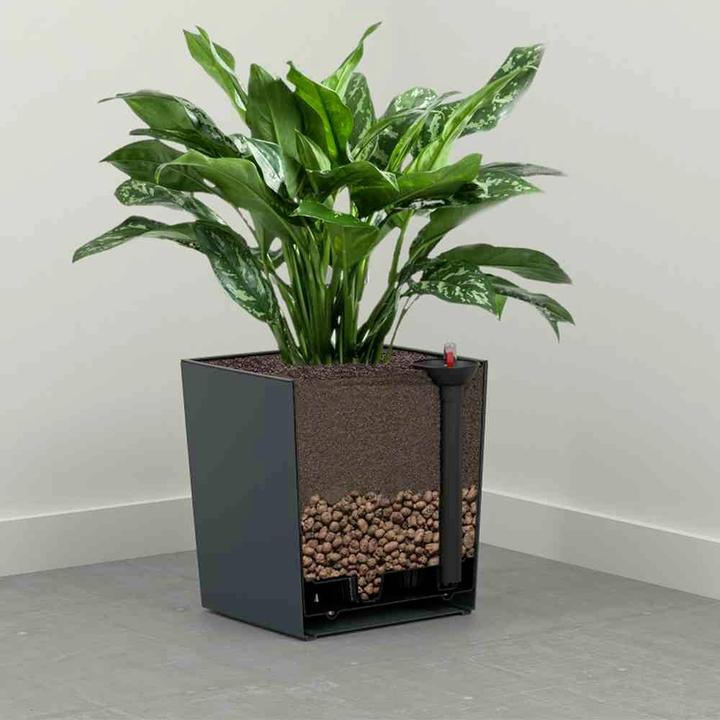 Immagine prodotto Siena Garden Modern (25 cm)