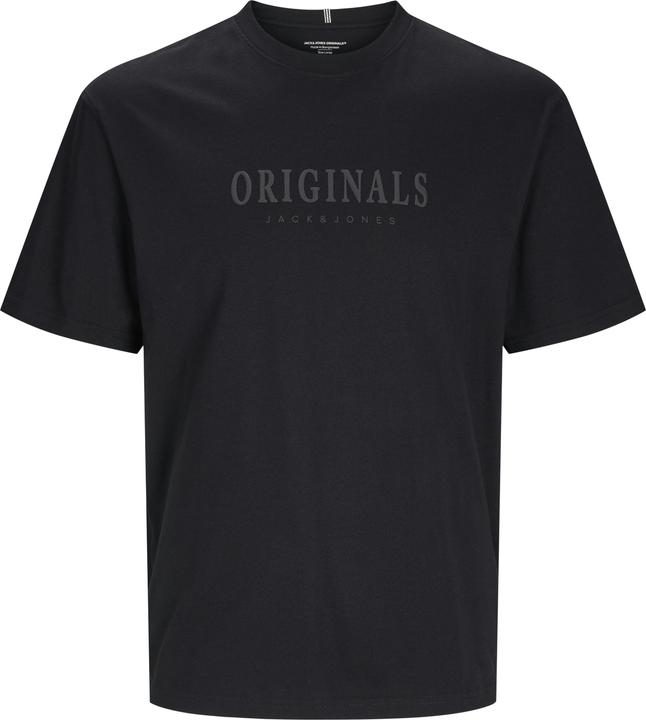 Image du produit Jack & Jones Jorfrederiksberg Tee Ss Crew Ne Noos Jnr (176)