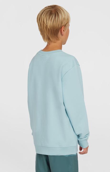 Actual product image O'Neill Logo Crew (104)