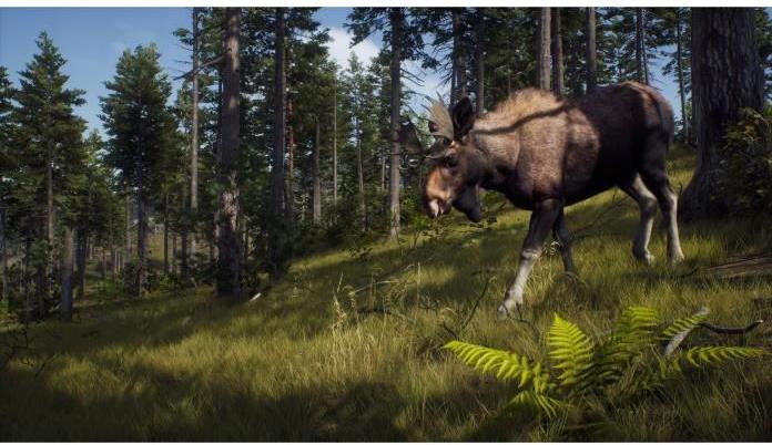 Immagine prodotto THQ Via del cacciatore (PS5, IT, FR, EN)