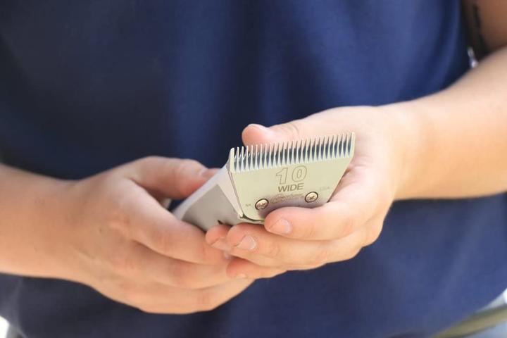 Image du produit Oster Tête de tondeuse pour chiens Machine à moteur (Chien)