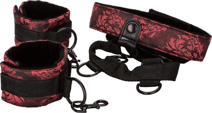 Actual product image CalExotics Scandal Collar Body Restraint