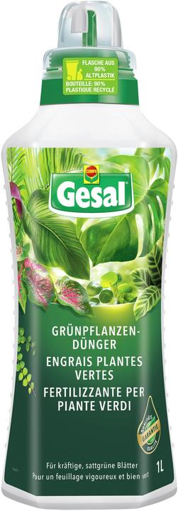Gesal Grünpflanzendünger (1.29 kg, 1 l)