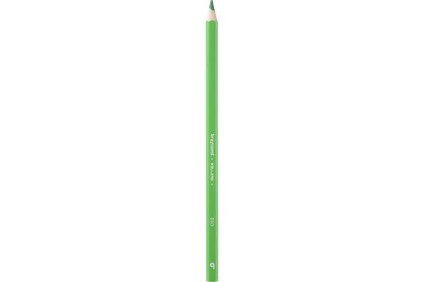 Image du produit Bruynzeel Crayon de couleur Colorexpress (Vert clair, 12 x)