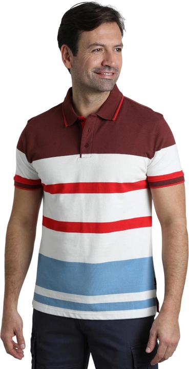 Immagine prodotto Weird Fish Sunbury Maglietta Polo Strisce Uomo (4XL)