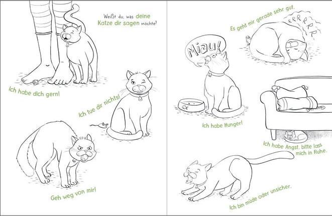Produktbild Mal doch mal! - Die Abenteuer meiner Katze (Deutsch, Pattloch Verlag, Nataša Kaiser, 2024)