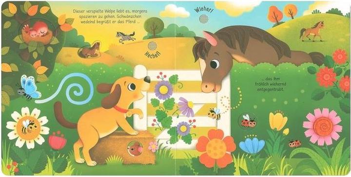 Produktbild Klänge der Natur: Was hörst du bei den Haustieren? (Deutsch, Sam Taplin, 2022)