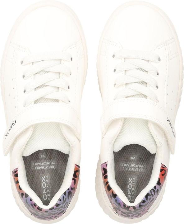 Actual product image Geox Sneaker (29)
