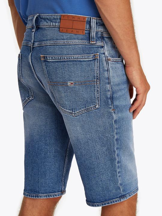 Image du produit Tommy Jeans 10021361 (W33)