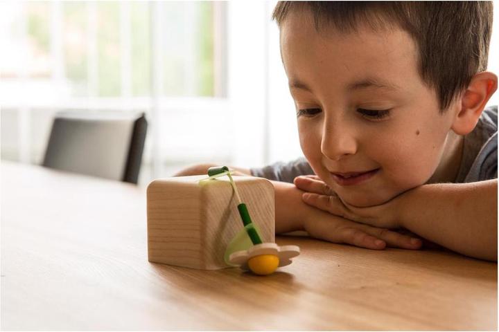 Image du produit Instrument de musique Cube sonore Animaux domestiques