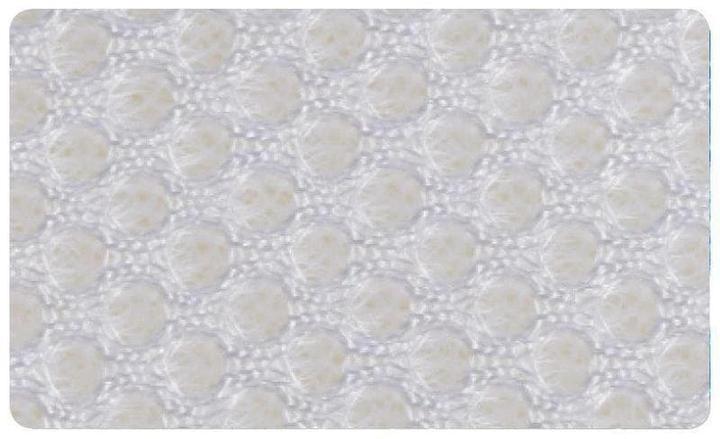 Actual product image DOR Hosta (15 x 40 cm)