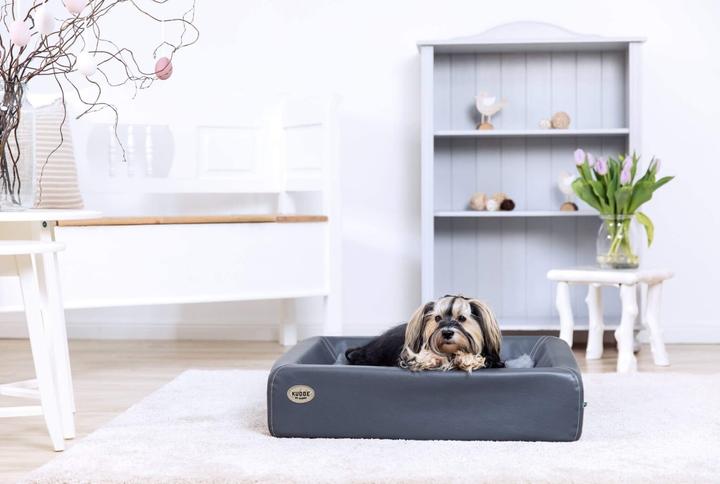 Produktbild Sabro Kudde (Hund)