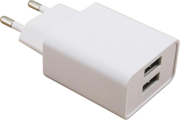 Actual product image RealPower 2-Port Wall Charger