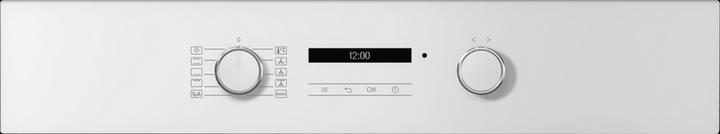 Actual product image Miele H 2861-60 B