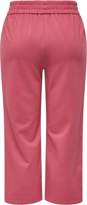 Actual product image Only ONLPOPTRASH-SUKI Verkürzt Klassische Hose Klassische Hose (L)