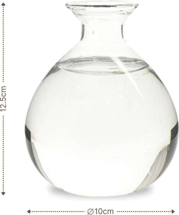 Produktbild Hermex Avocadobaum-Glas (10 cm)