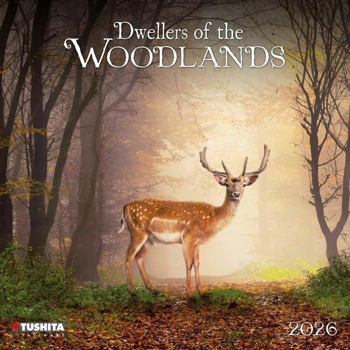 Actual product image Dwellers of the Woodlands 2026 (30 x 30 cm, Dutch, Polish, German, Italian, French, Spanish, Czech, English)